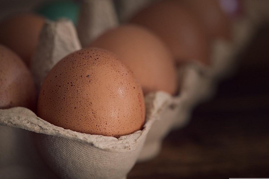 Deutscher Eiermarkt: Versorgung zu Ostern sicher 