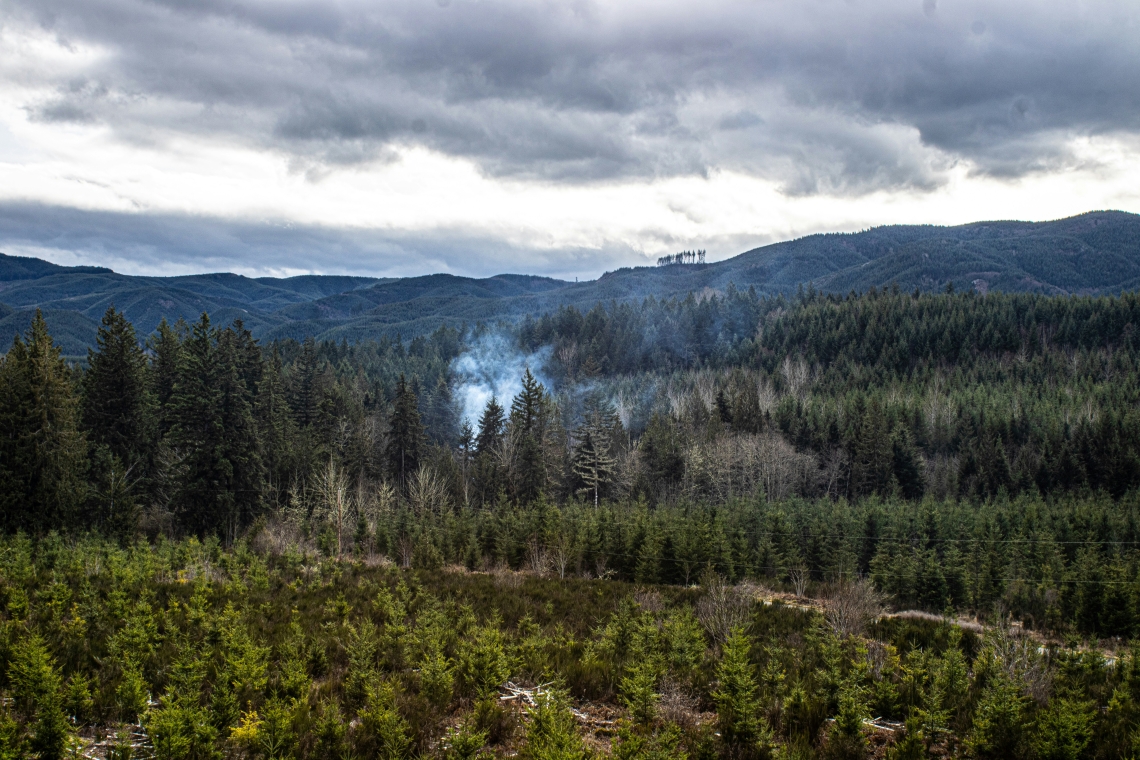 Beobachtungsflüge wegen hoher Waldbrandgefahr