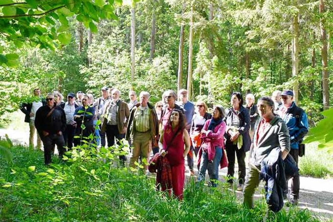 Wald im Wandel - Waldbegehung im Gerolfinger Eichenwald
