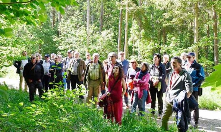 Wald im Wandel - Waldbegehung im Gerolfinger Eichenwald