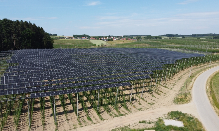 Veranstaltung zum Thema „Agri-Photovoltaik“ in Hofstetten