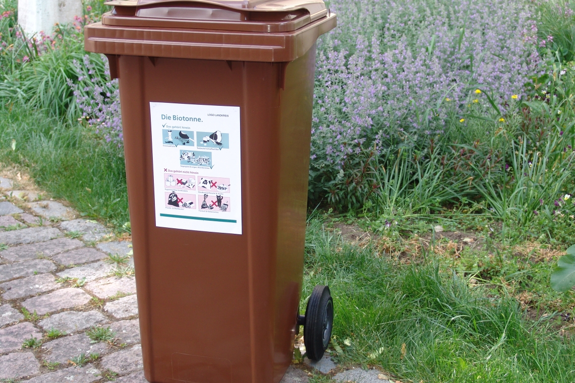 Die Biotonne in der warmen Jahreszeit 